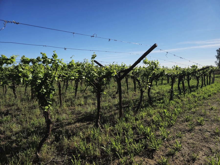 Commercial Property for Sale in Keimoes Rural Northern Cape